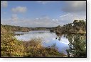 Oisterwijkse Bossen en Vennen Kampina natuurgebied natuur oisterwijk Nationaal park Landschap Het Groene Woud hei heide bossen natuurmonumenten brabant baronie boswachterij dorst